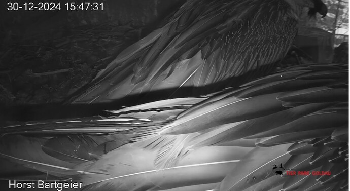 Screenshot_20241230_154834_Chrome