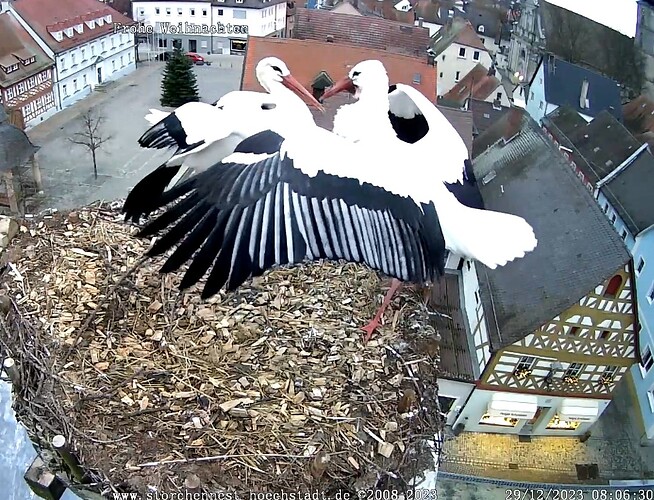 Screenshot_2023-12-29-08-06-55-936_com.android.chrome