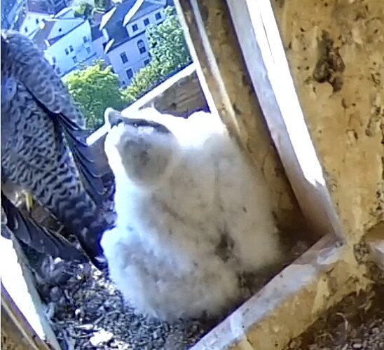 Screenshot_20230515-073144-02