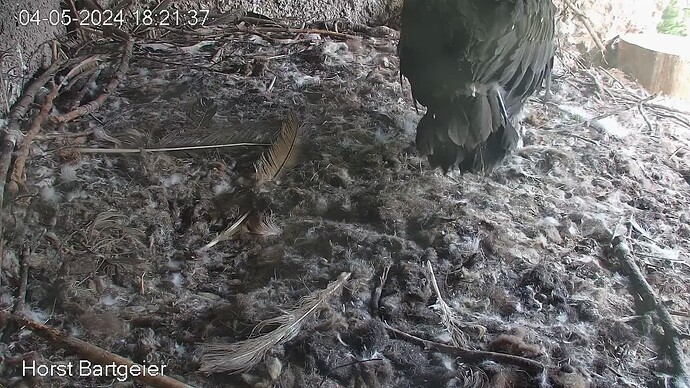 SnapShot-20240504_182239