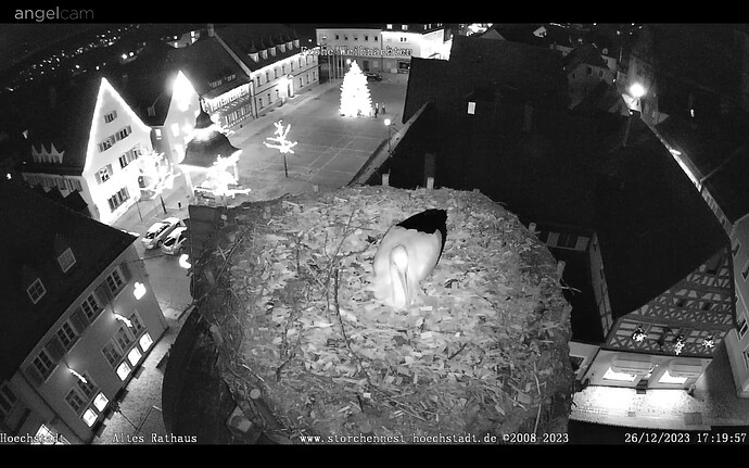 Screenshot_20231226-172022_Chrome