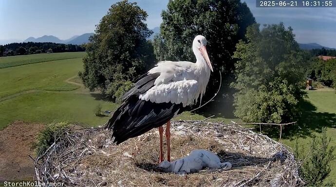 Screenshot_20250621_103219_YouTube