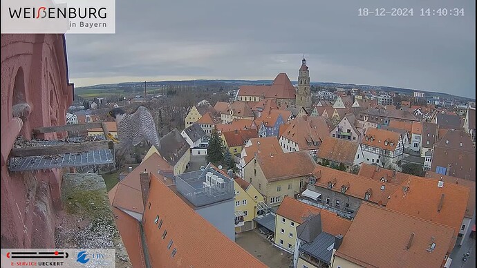 Screenshot (7599)