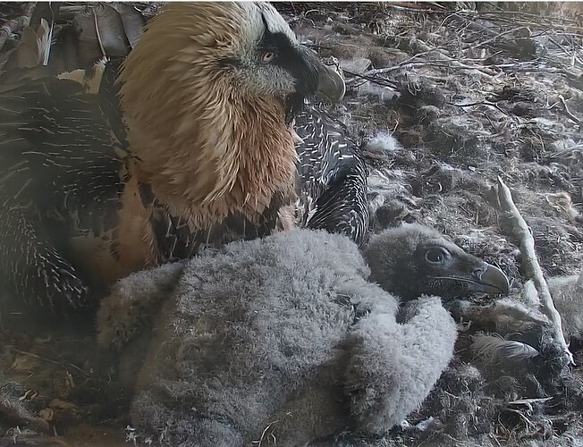 Vielleicht zu warm 05.04.24