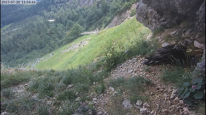Screenshot (59)