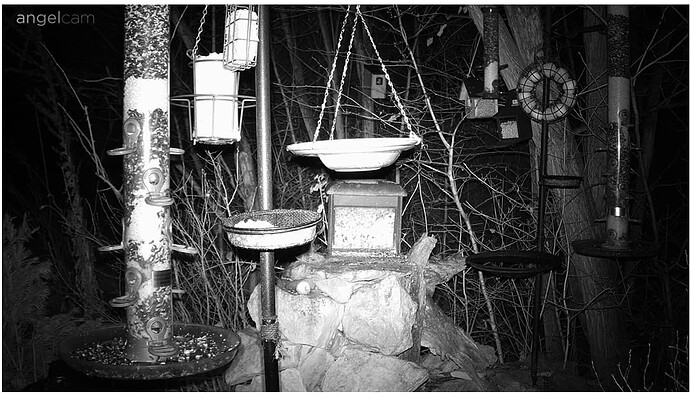 Screenshot 2022-12-27 055421 FC