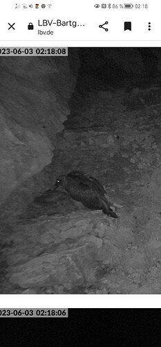 Screenshot_20230603_021833_com.android.chrome