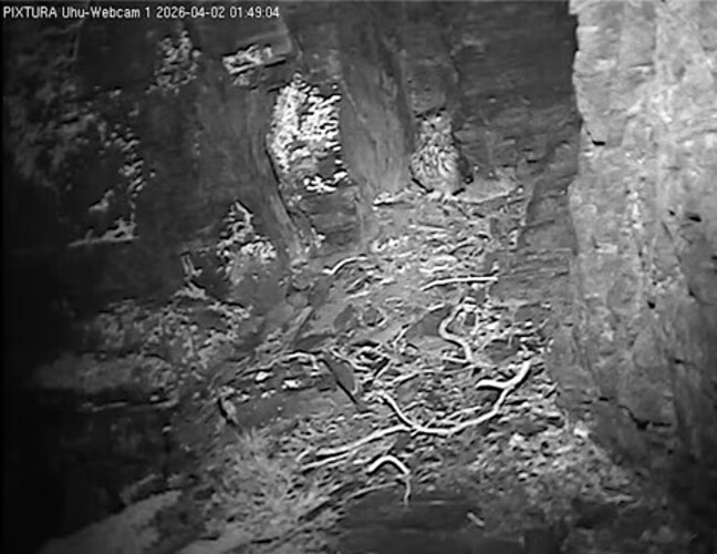 Screenshot_20260403_105511_Opera