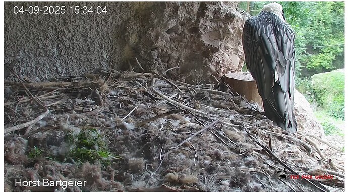 Screenshot_20250904-153514~2