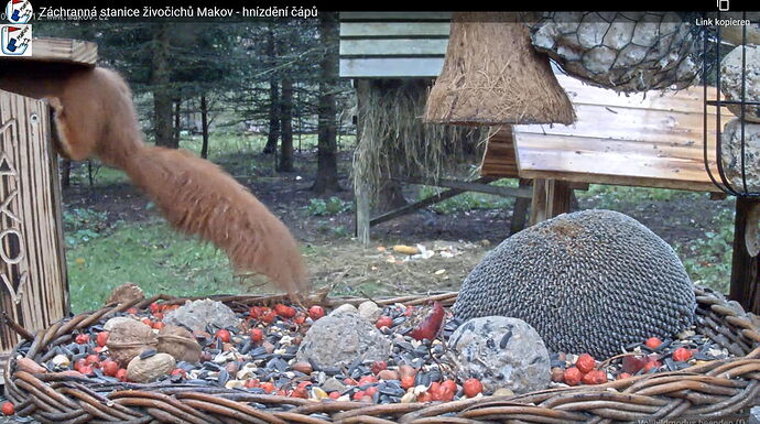 Snap_2022.11.18_09h39m47s_002_