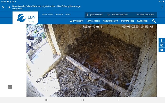 Screenshot_20230603-105104_Chrome