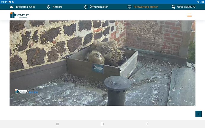 Screenshot_20230528-211929_Chrome