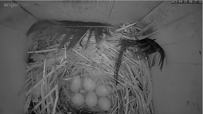 Screenshot_20230415-082726_Samsung Internet