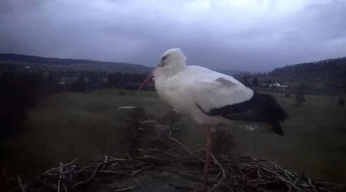 Screenshot_20241222_165912_Chrome