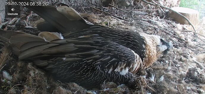 Snap_2024.02.29_08h38m42s_005_