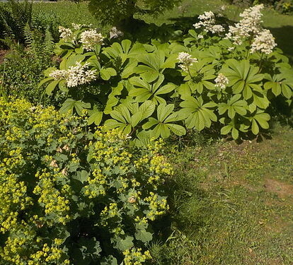 Snap_2026.06.04_09h36m22s_004_