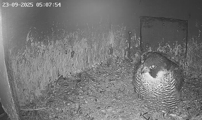 Screenshot_20250923_060235_Chrome