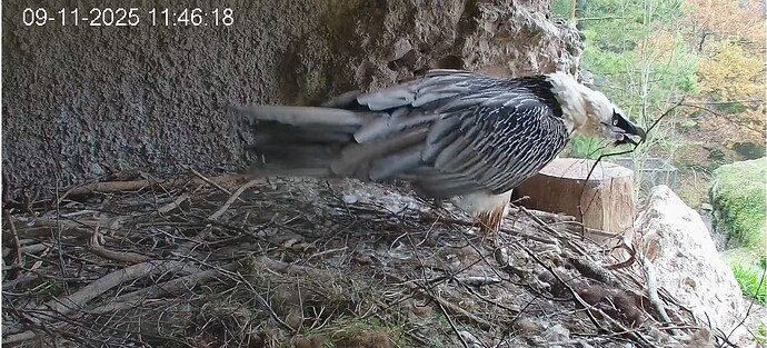 Screenshot_20251109-114722~2