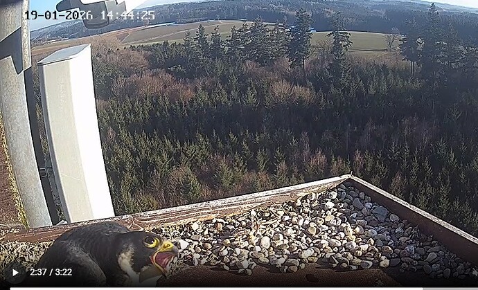 Screenshot 2026-01-19 144501