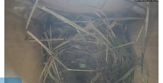 Screenshot_20230521_112201_com.android.chrome_edit_1525751852488538