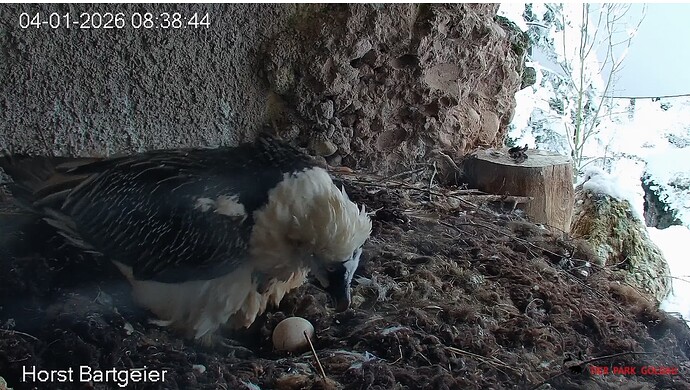 H Rückkehr 04.01.26