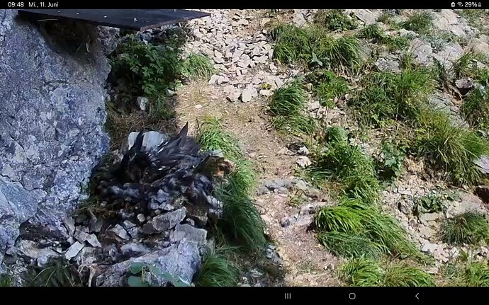 Screenshot_20250611_094836_Samsung Internet