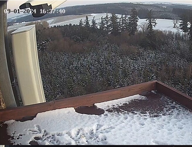 Screenshot_20240109-163643_Chrome