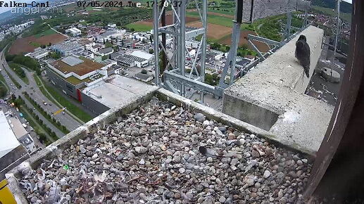 Snap_2024.05.07_17h31m04s_008_