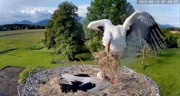 Screenshot_2025-05-18-07-53-57-553_com.google.android.youtube