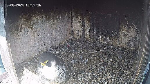 Snap_2024.08.02_11h53m38s_003_