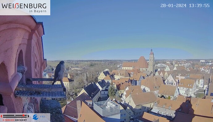 Screenshot_2024-01-28-14-28-32-629_com.google.android.youtube