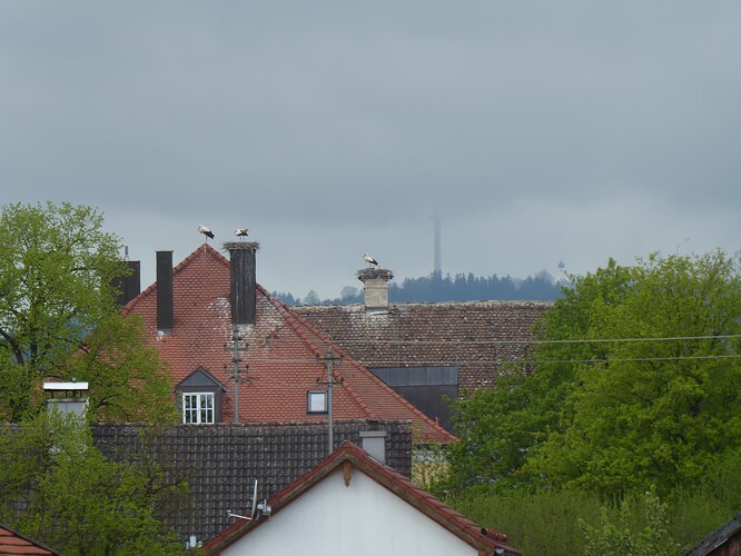 P1000429