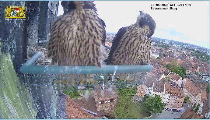 Snap_2023.05.13_17h18m27s_018_