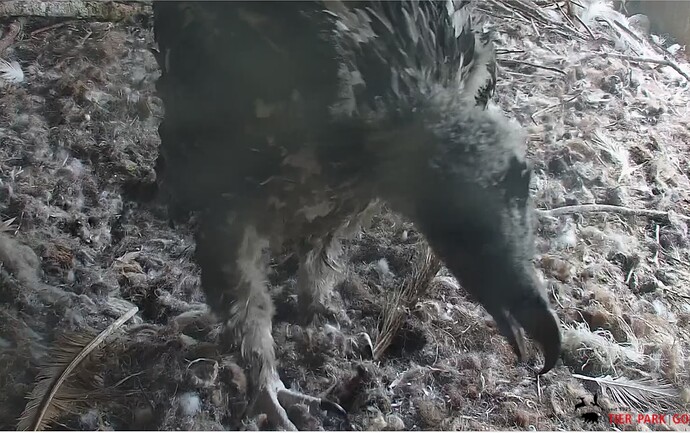 Keiner Ruhe 09.05.24