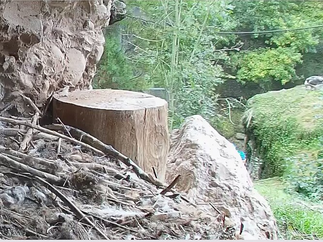 Screenshot_20251005-115728~2