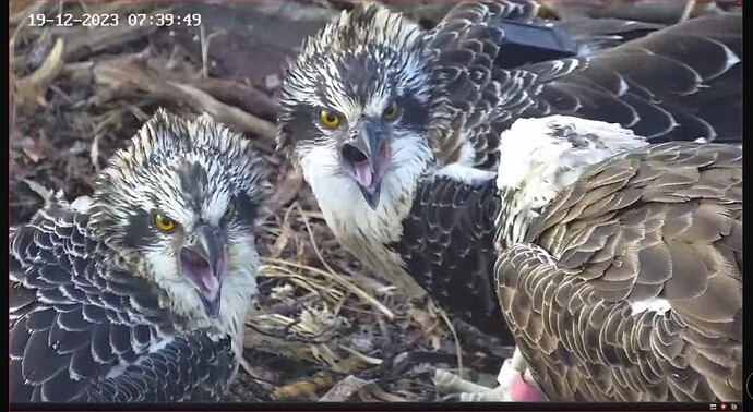 Screenshot_20231218_221946_YouTube