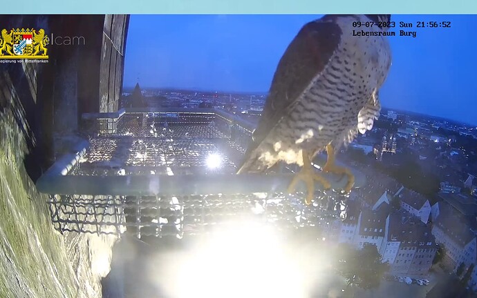 Screenshot_20230709-215717~2