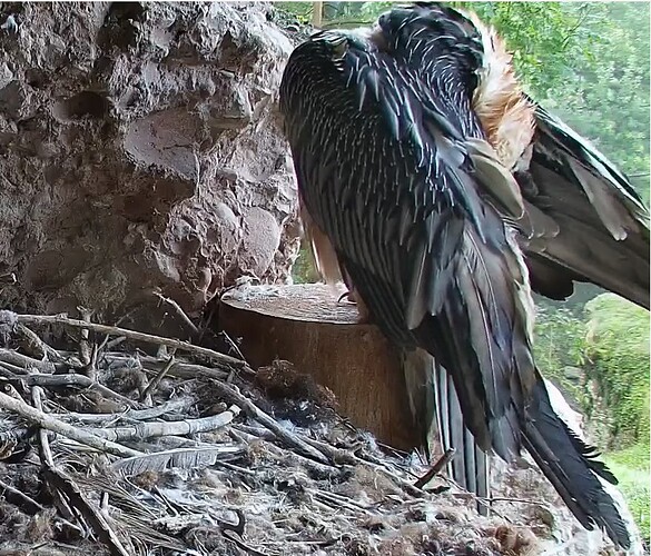 M Morgentoilette 1 28.09.25