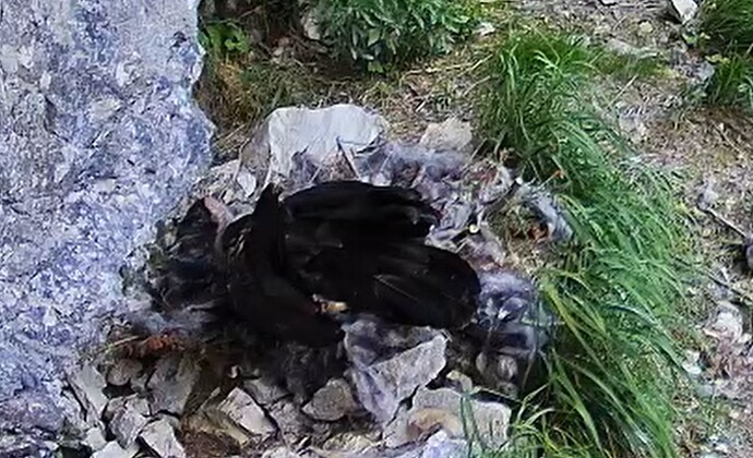 G. entspannt 23.06.25