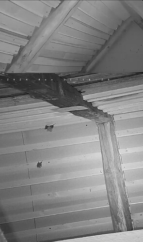 Screenshot_20240715-222256_Chrome