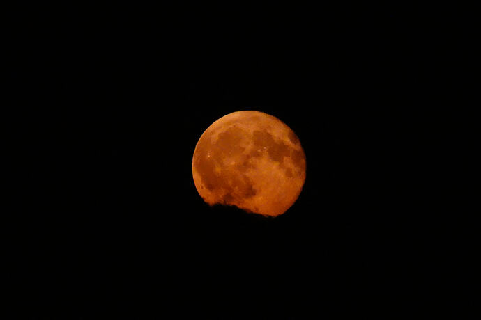 DSC08020