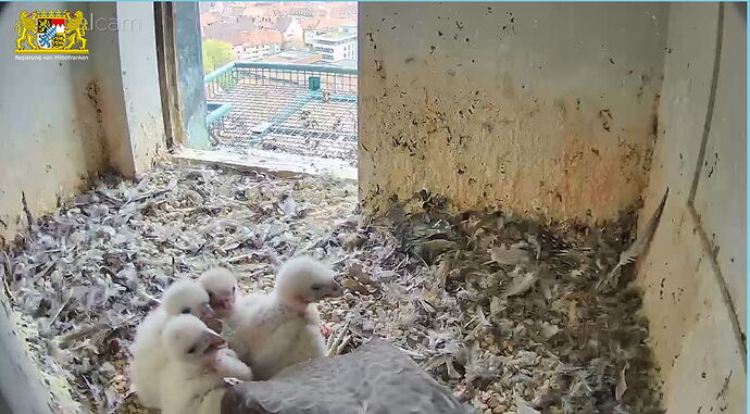 Snap_2023.04.18_09h48m55s_001_