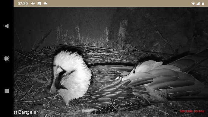 Screenshot_20230213-072022