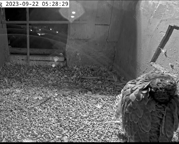 IMG_1007