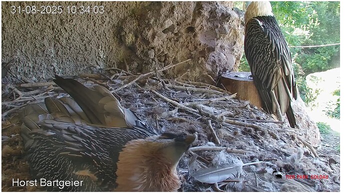 Screenshot_20250831-103511~2