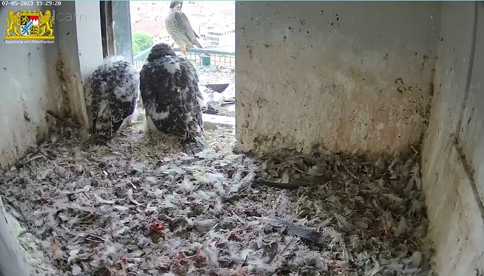 Screenshot_20230507-192945_Samsung Internet