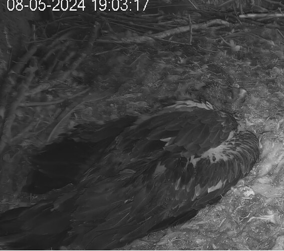 Schon groß 08.05.24