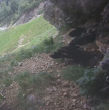 Snap_2024.06.20_11h09m32s_003_