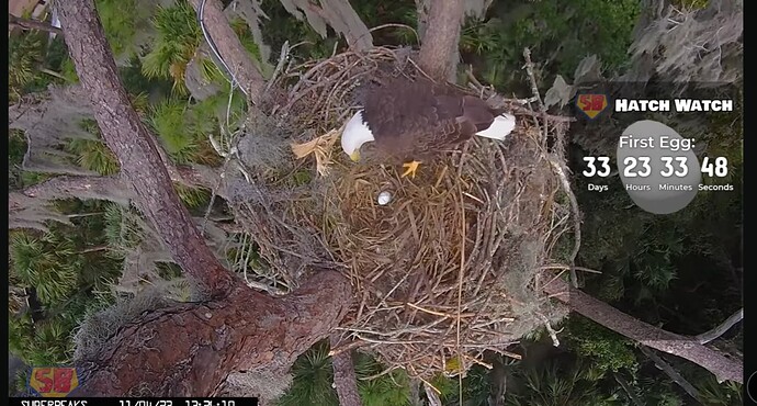 Screenshot_20231104_193439_YouTube