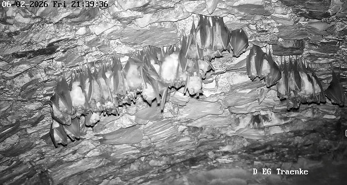 2026-02-6_4 ab 21.00 Hangplatzsuche